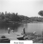 rice_dock_1966