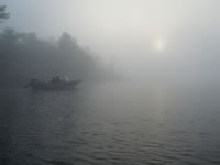 Foggy Morning2