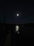 Moonlight_Reflection